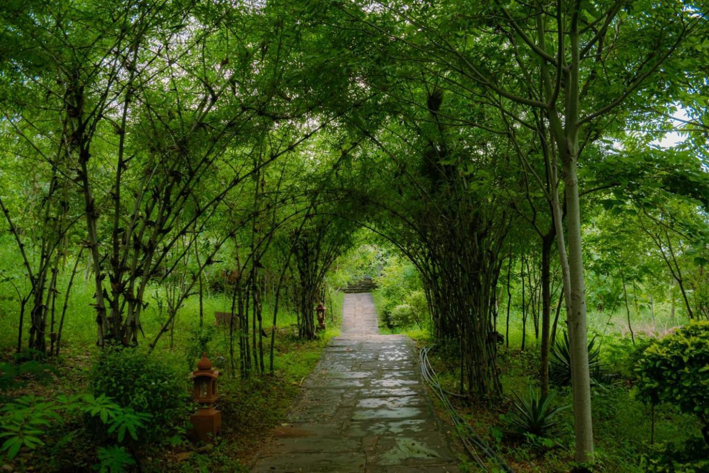 The Sky Imperial Kumbhalmer Resorts Kumbhalgarh Bagian luar foto